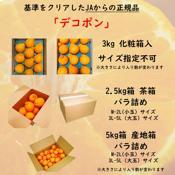 いきなりデコポン‼️和歌山県産　不知火　大玉4Lサイズ　10kg みかんキング 楽天市場】みかん デコみかん 10kg 不知火 デコポン 同品種 和歌山