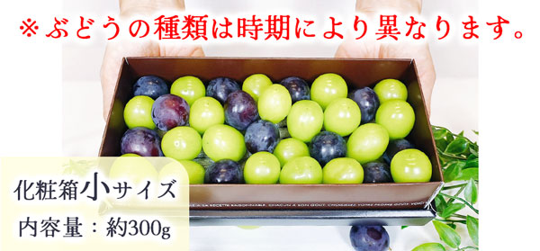 お中元 ぶどう フルーツギフト きらめきプチギフト 300g 化粧箱
