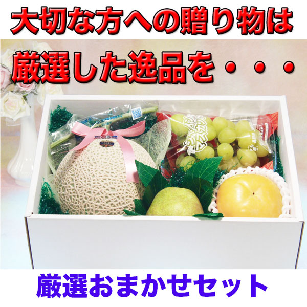 フルーツ 詰め合わせ 店長いちおし！自慢のフルーツ詰合せ 旬のおまかせセット 