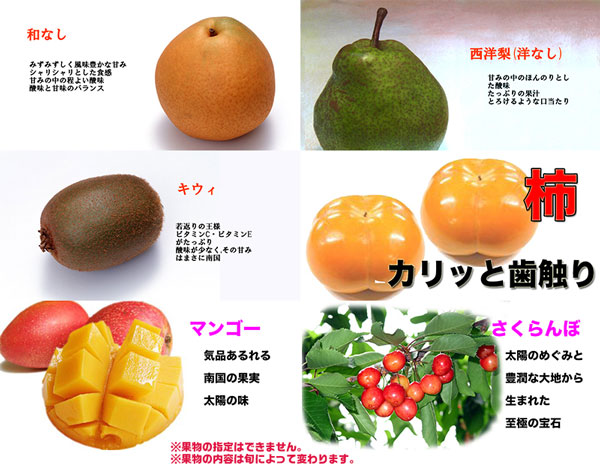 フルーツ 詰め合わせ 店長いちおし！自慢のフルーツ詰合せ 旬のおまかせセット 