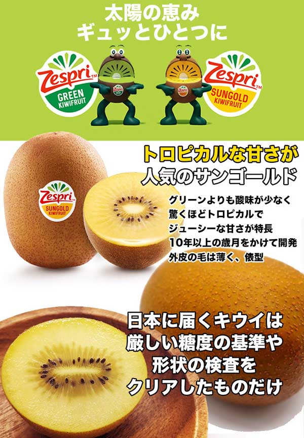 キウイフルーツ 約3kg サンゴールド 22-30玉入 ニュージーランド産 
