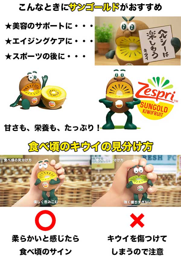 キウイフルーツ 約3kg サンゴールド 22-30玉入 ニュージーランド産 