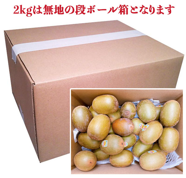 キウイフルーツ 2kg　サンゴールド 12-20玉入 ニュージーランド産 