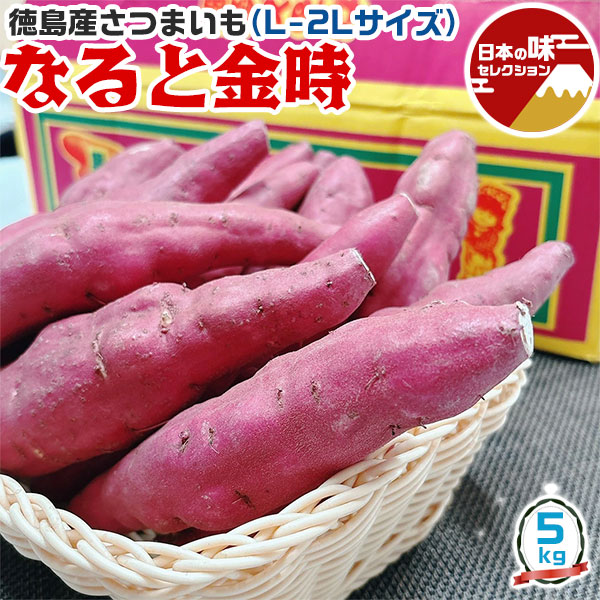 なると金時 里むすめ 徳島県産 さつまいも 5kg L-2Lサイズ 10-20本入