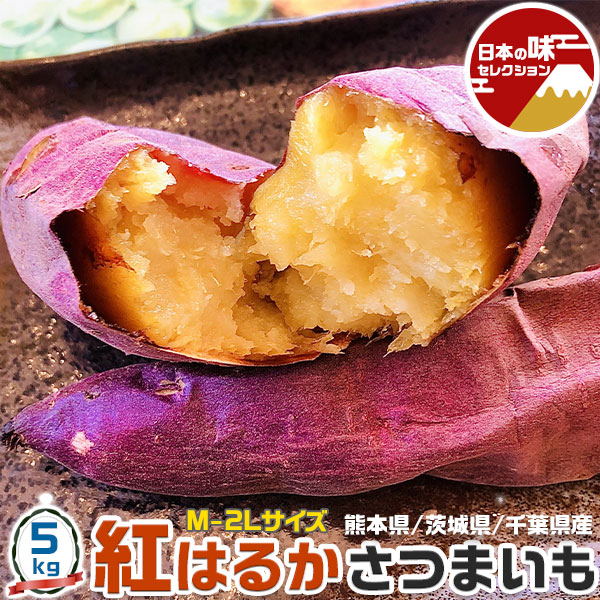 紅はるか さつまいも 5kg M-2Lサイズ10-47本入 ご家庭用 熊本県/茨城県