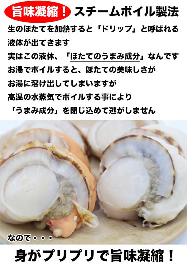 ホタテ貝柱 訳あり お徳用 北海道産