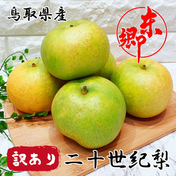 20世紀 梨 東郷 訳あり 鳥取県産 二十世紀 約5Kg