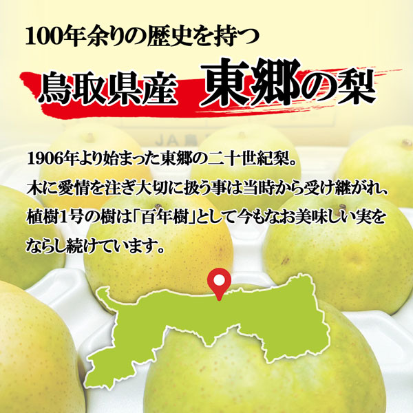 20世紀 梨 東郷 訳あり 鳥取県産 二十世紀 約5Kg