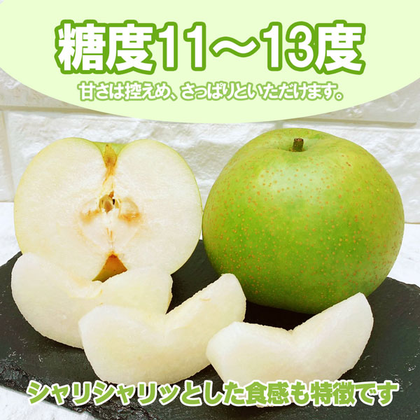 20世紀 梨 東郷 訳あり 鳥取県産 二十世紀 約5Kg
