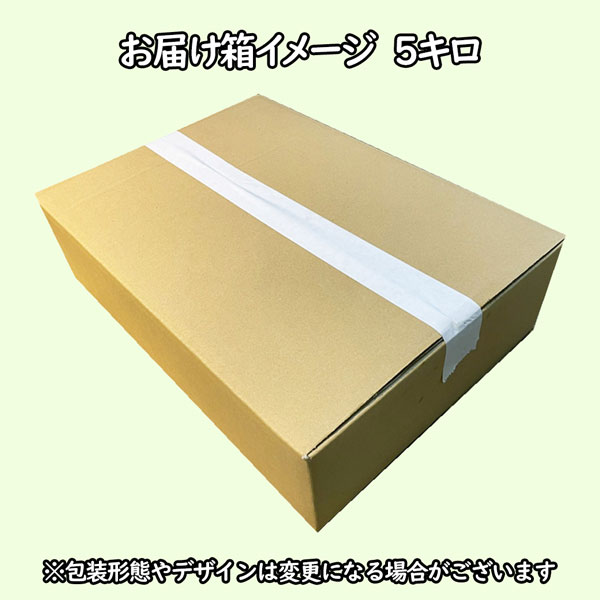 20世紀 梨 東郷 訳あり 鳥取県産 二十世紀 約5Kg