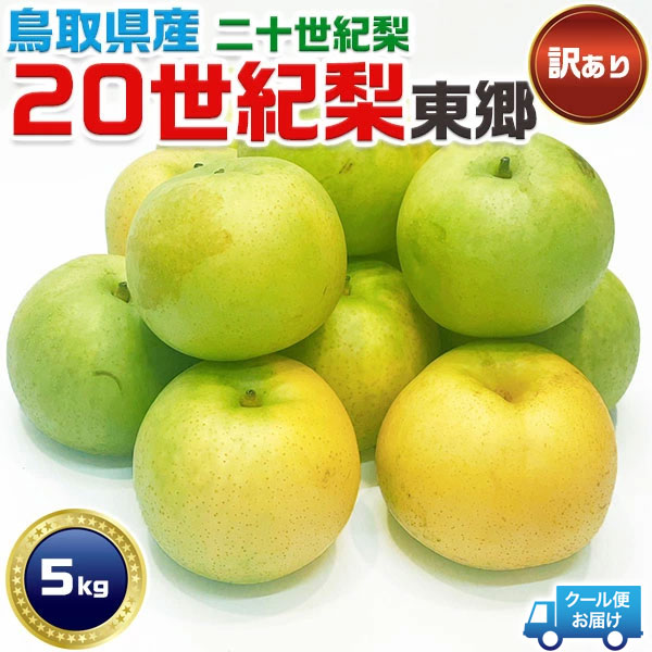 20世紀 梨 東郷 訳あり 鳥取県産 二十世紀 約5Kg