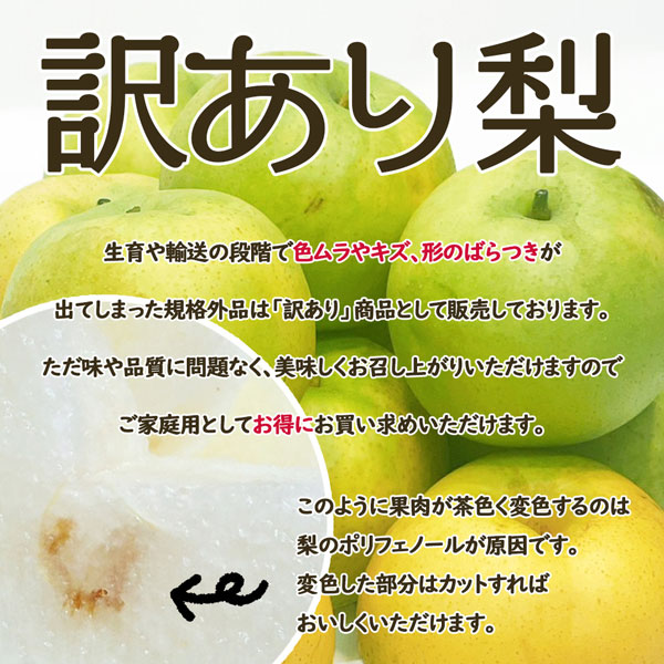 20世紀 梨 東郷 訳あり 鳥取県産 二十世紀 約10Kg