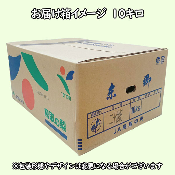 20世紀 梨 東郷 訳あり 鳥取県産 二十世紀 約10Kg