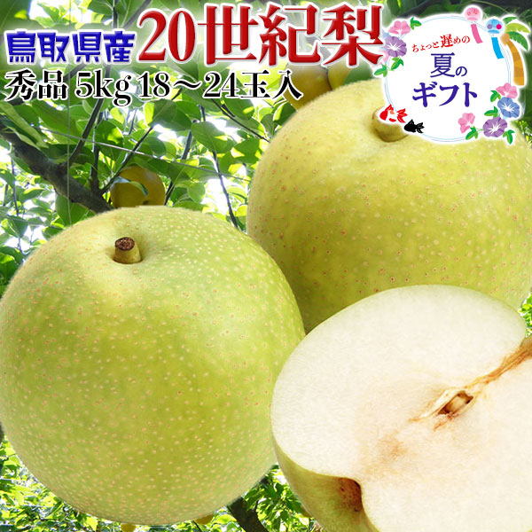 梨 20世紀梨 鳥取県産 訳あり 家庭用 5kg