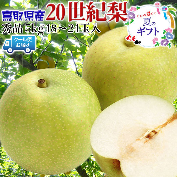 梨 20世紀梨 鳥取県産 訳あり 家庭用 5kg