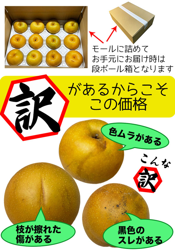 梨 新甘泉 ナシ 高糖度