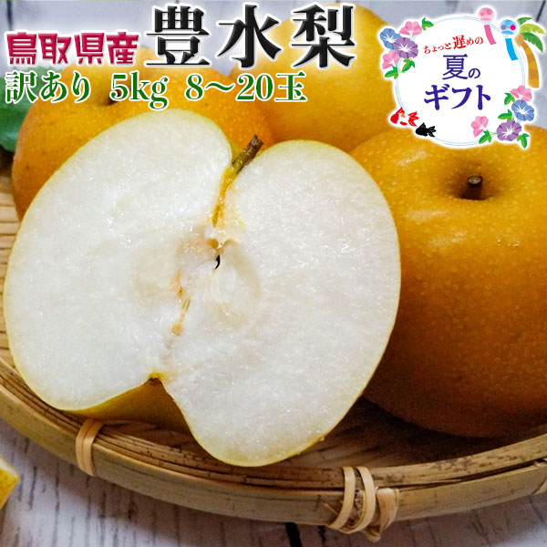 梨 豊水 鳥取県産 訳あり 家庭用 5kg