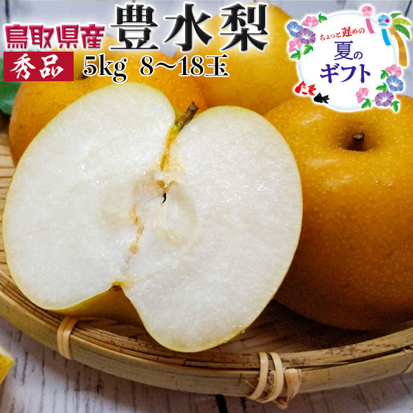 梨 豊水 鳥取県産 訳あり 家庭用 5kg