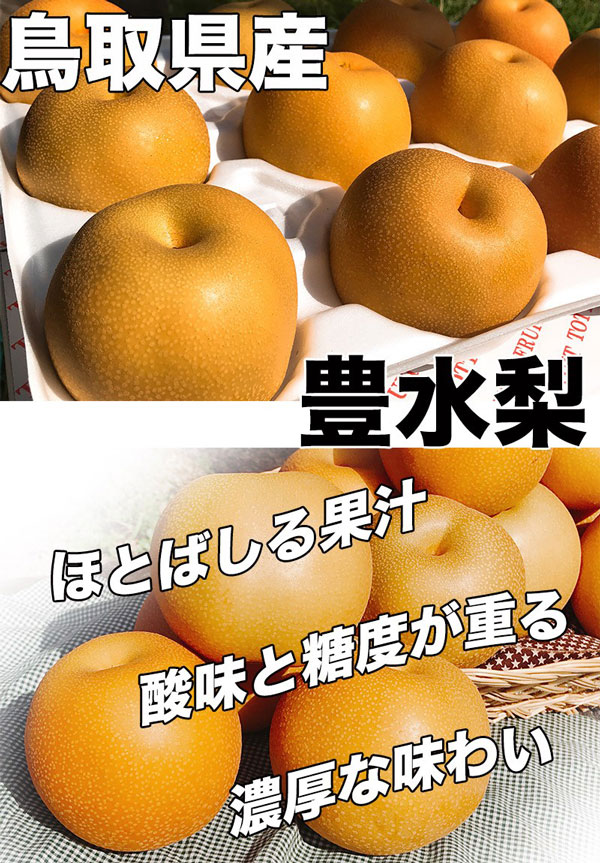 マート 鳥取県産 梨 秀品 豊水 5kg 8〜18玉 贈答用 遅めの夏ギフト 遅れてごめんねお中元 敬老の日 ギフト 送料無料  somaticaeducar.com.br