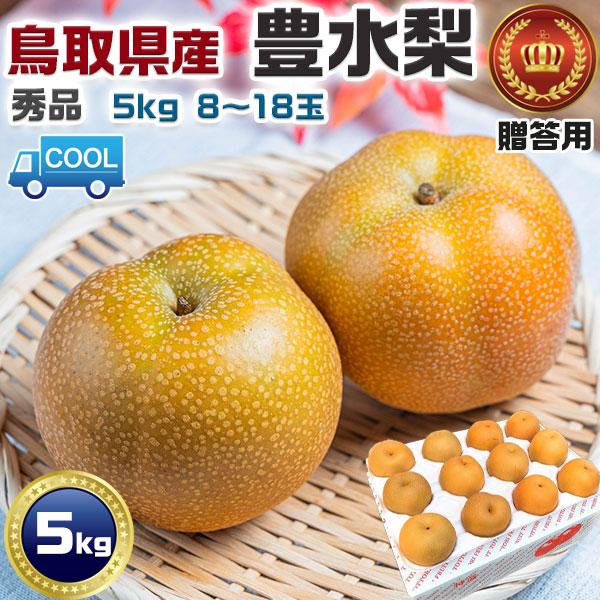 梨 豊水 鳥取県産 訳あり 家庭用 5kg