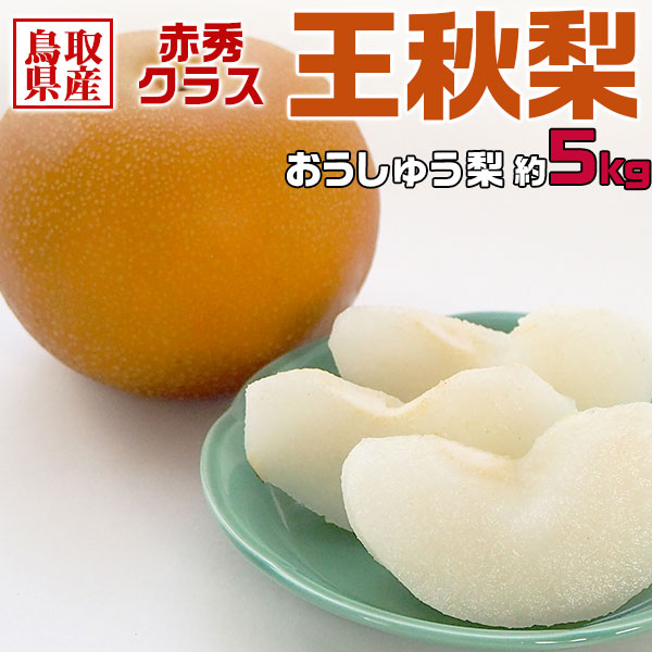 鳥取県産 梨 赤秀 5kg 王秋梨 家庭用