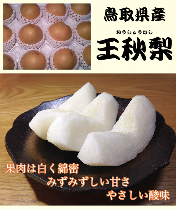 鳥取県産 梨 赤秀 5kg 王秋梨 家庭用