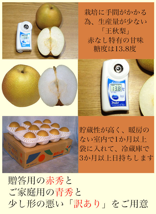 鳥取県産 梨 赤秀 5kg 王秋梨 家庭用