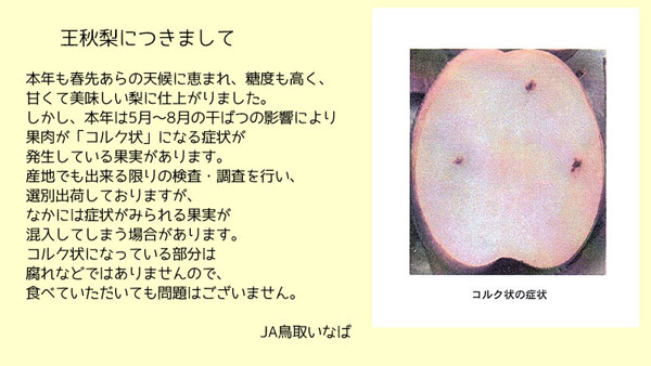 鳥取県産 梨 赤秀 5kg 王秋梨 家庭用