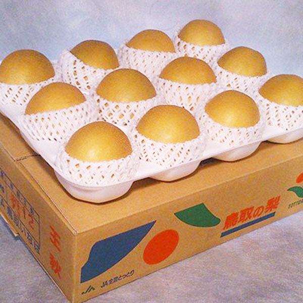 鳥取県産 梨 赤秀 5kg 王秋梨 家庭用