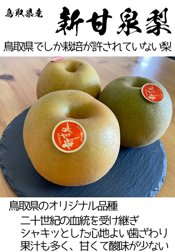 梨 新甘泉 ナシ 高糖度
