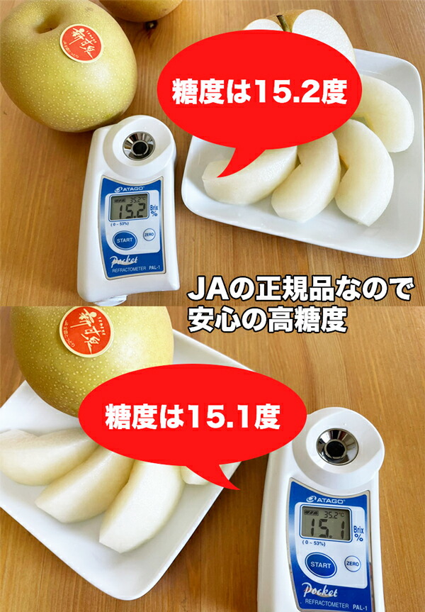 梨 新甘泉 ナシ 高糖度