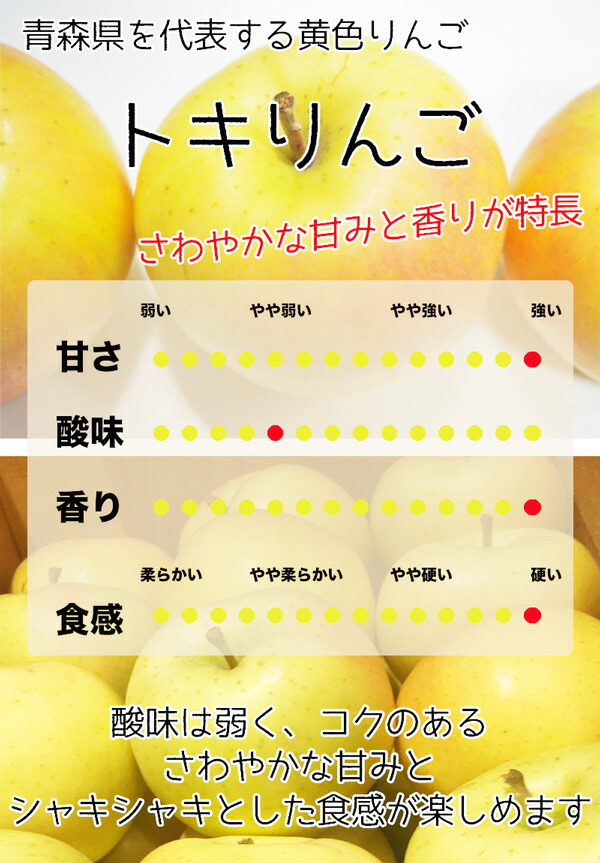 青森県産 トキ りんご 10kg 訳あり・ご家庭用 サイズ大小混合