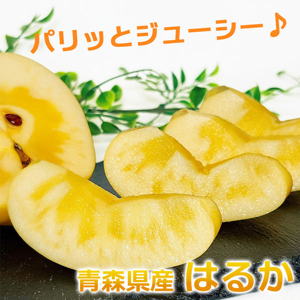 青森 蜜入り はるか りんご 5kg 箱 訳あり 青森県産 ご家庭用 サイズお