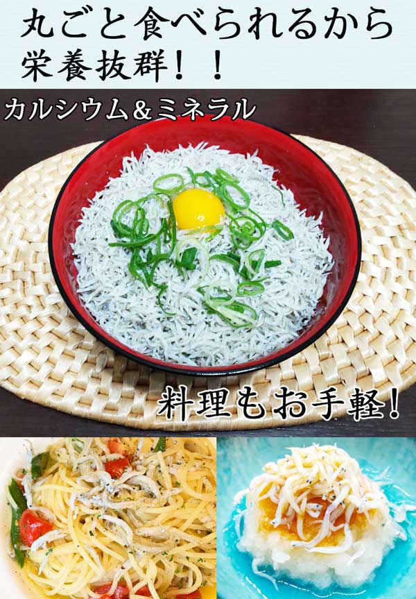 しらす干し 訳あり 1kg 新物 しらす干し 国産