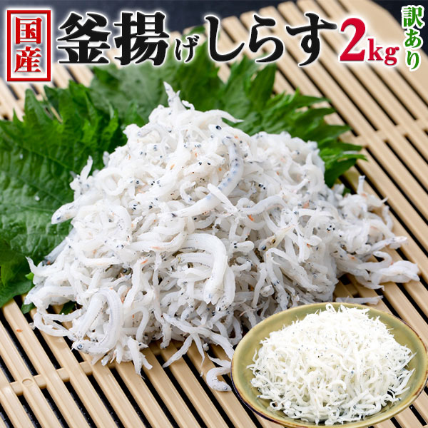 しらす干し 訳あり 2kg 新物 しらす干し 国産