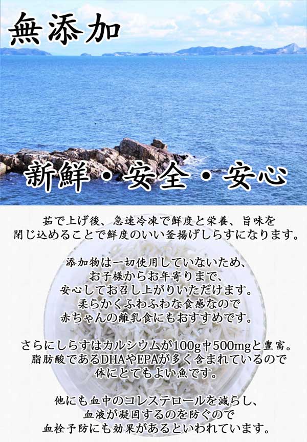 しらす干し 訳あり 2kg 新物 しらす干し 国産