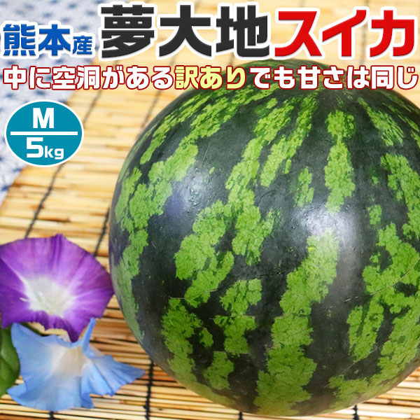西瓜 すいか 熊本県産 夢大地 訳アリ