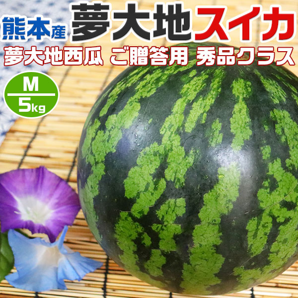 西瓜 すいか 熊本県産 夢大地 秀品 贈答用