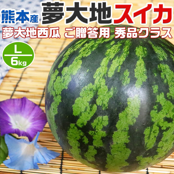 西瓜 すいか 熊本県産 夢大地 秀品 贈答用