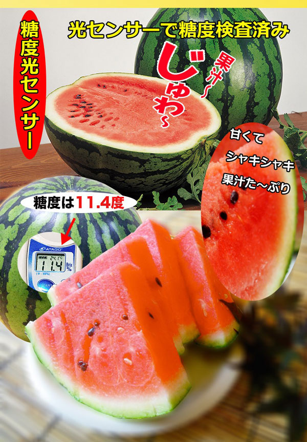 西瓜 すいか 熊本県産 夢大地 秀品 贈答用