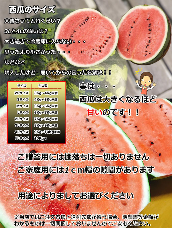 西瓜 すいか 熊本県産 夢大地 秀品 贈答用