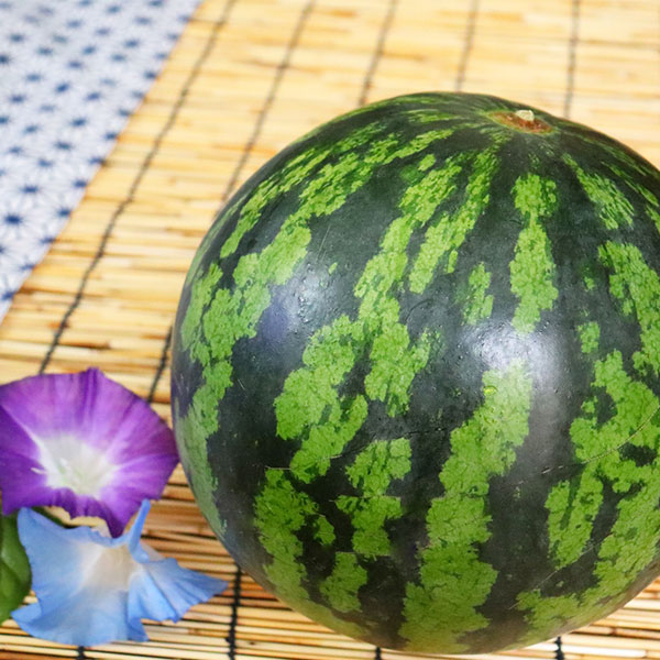 西瓜 すいか 熊本県産 夢大地 秀品 贈答用