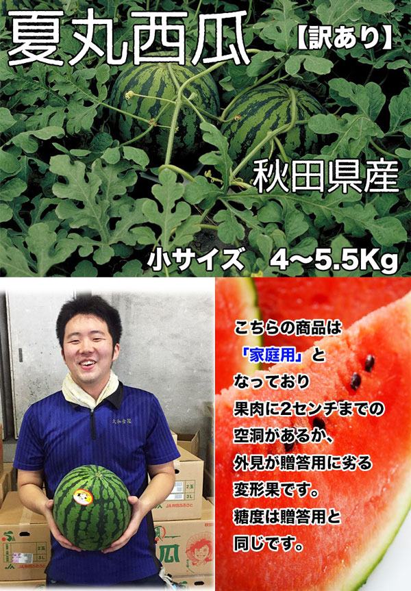 秋田県産 すいか 訳あり 夏丸 予約 4-5.5kg