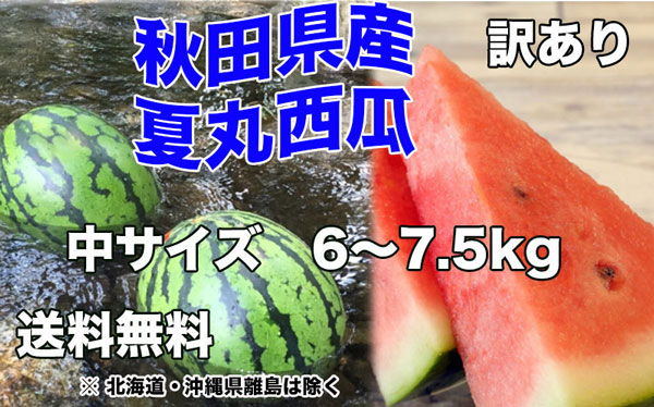 秋田県産 すいか 訳あり 夏丸 予約
