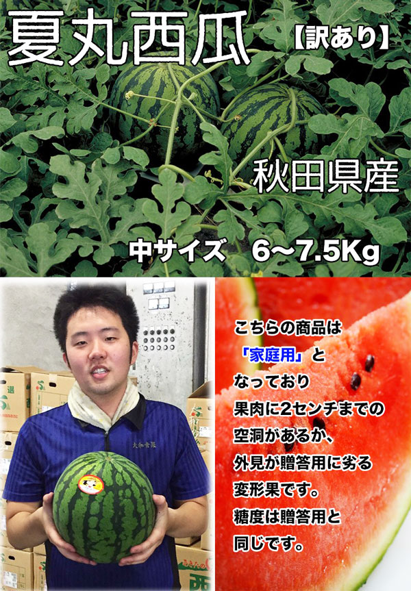 秋田県産 すいか 訳あり 夏丸 予約