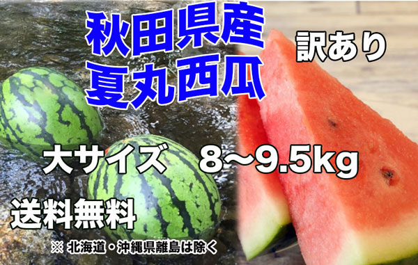 秋田県産 すいか 訳あり 夏丸 予約