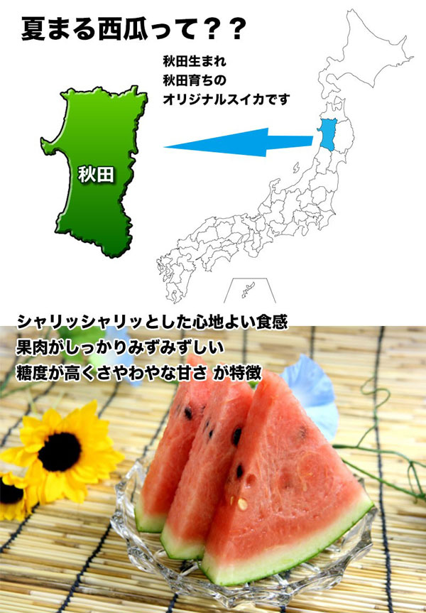 秋田県産 すいか 訳あり 夏丸 予約