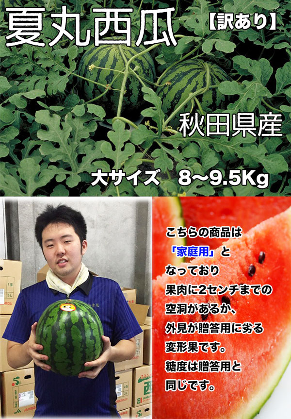 秋田県産 すいか 訳あり 夏丸 予約