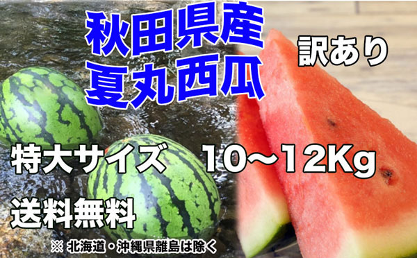 秋田県産 すいか 訳あり 夏丸 予約