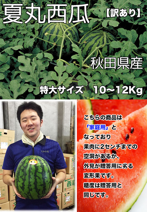 秋田県産 すいか 訳あり 夏丸 予約